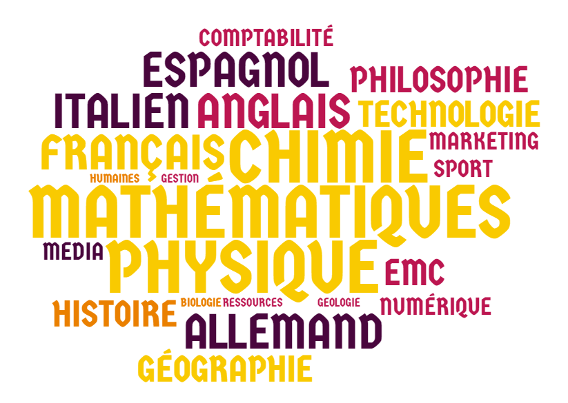 Les enseignements de spécialité en voie générale