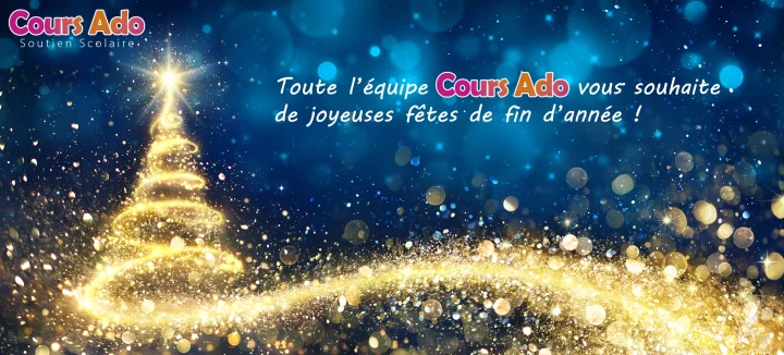 Joyeuses fêtes !!